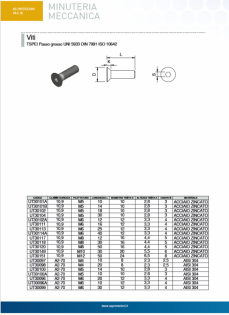 Vite TSPEI - M5x10 - A2-70